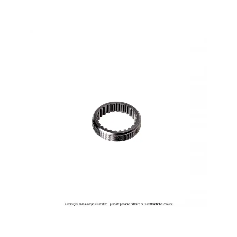 Anillo Estriado y Roscado M34X1 para Buje 240 Dt Swiss