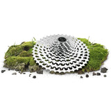 Cassette Campagnolo 13V