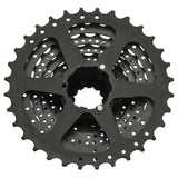 Cassette Shimano CS-HG31 8V
