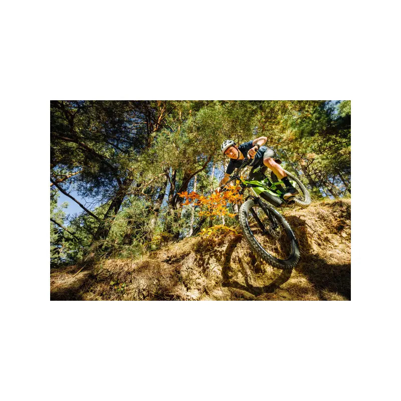Cubierta Michelin E-WILD Front TLR