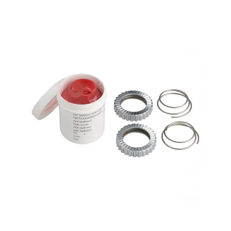 Kit Mantenimiento Dt Swiss Ratchet System Sl 54D