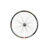 Rueda Delantera Gurpil Infinite 29"