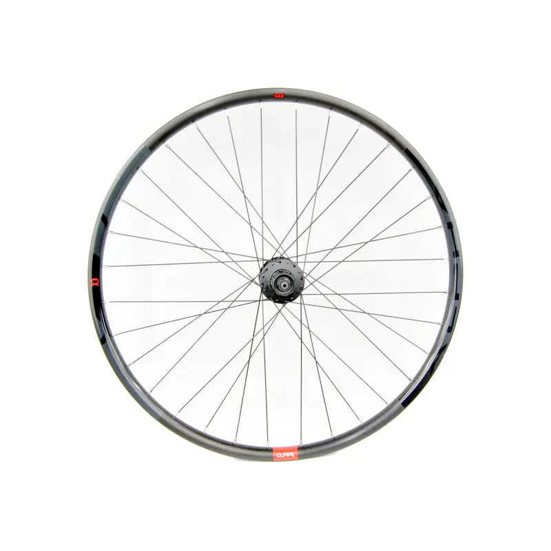 Rueda Trasera Gurpil Alpha 29" 6 Tornillos