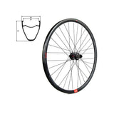 Rueda Trasera Gurpil Gravel 12" 12x142 mm Shimano 6 Tornillos