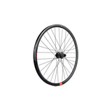 Rueda Trasera Gurpil Infinite 29" Boost 12x148 mm 6 Tornillos