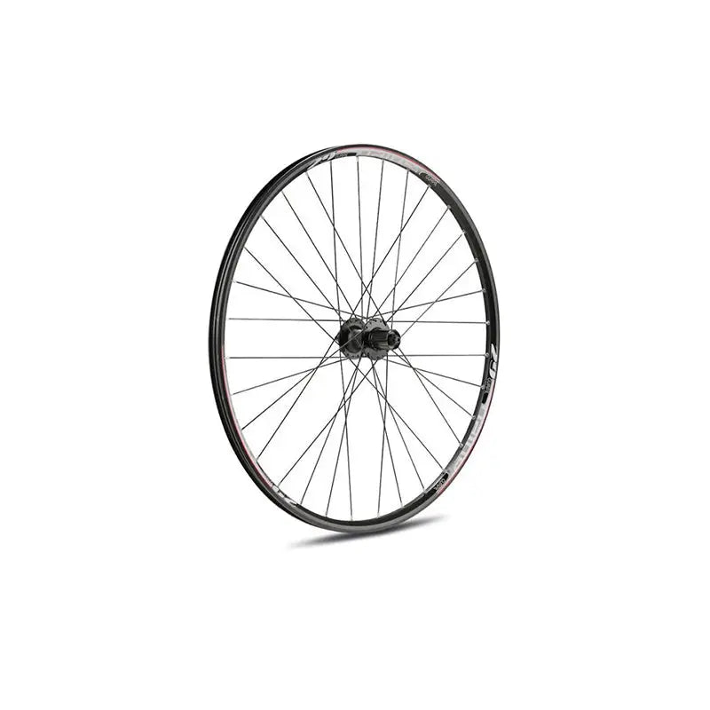 Rueda Trasera Gurpil Neu 29" 6 Tornillos Cassette