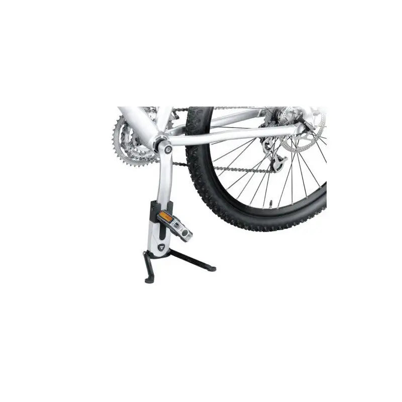 Stand Flash Fat Bike Topeak